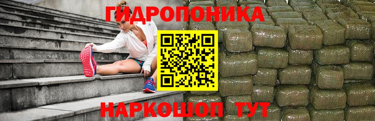 Шишки марихуана Amnesia Пугачёв